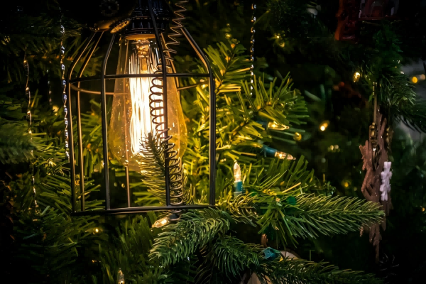 Close-up of a glowing LED filament bulb inside a black cage lantern, nestled among green pine branches, creating a warm festive ambiance.