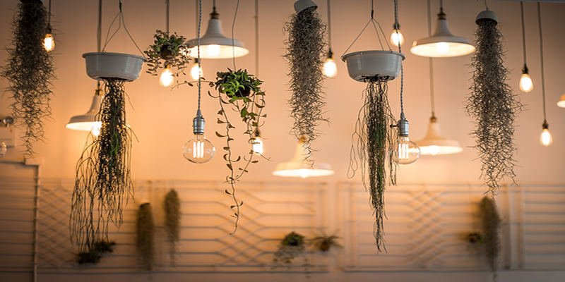 Creative hanging lights with plants for a stylish interior look